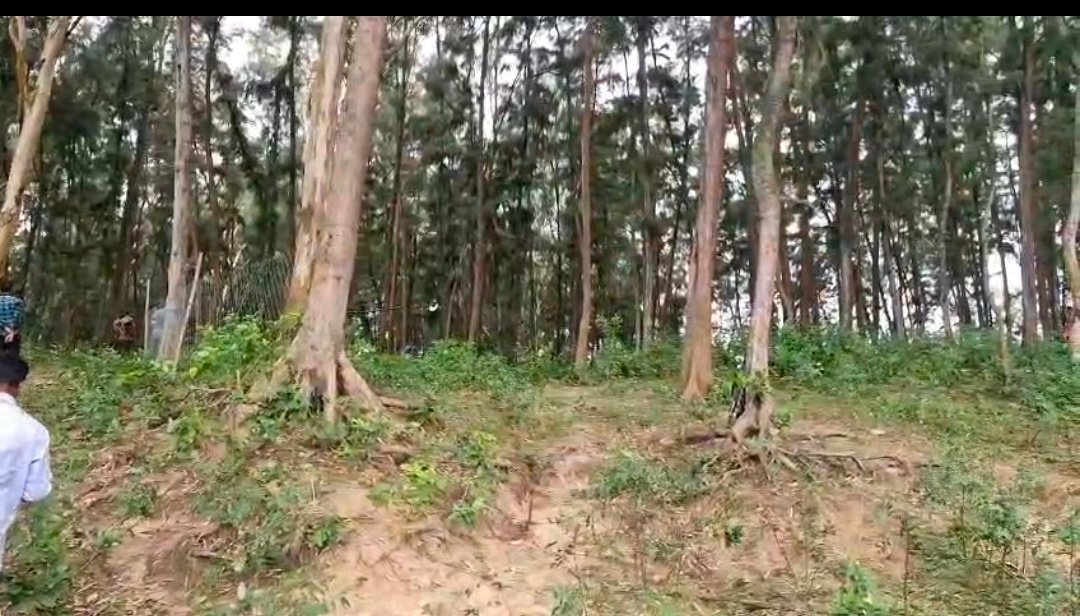 ଓରାଙ୍ଗ ଓଟାନ ଉଦ୍ଧାର ସ୍ଥଳରେ ବାଡ଼,ନିଷିଦ୍ଧା  ଅଞ୍ଚଳ  ଘୋଷଣା କଲା ବନ ବିଭାଗ