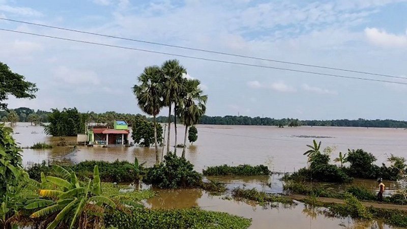 ବୈତରଣୀରେ ବନ୍ୟା; ଯାଜପୁରର ୪ ବ୍ଲକ୍‌ ଜଳମଗ୍ନ